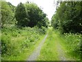 Former railway trackbed