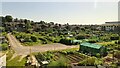 Allotment gardens, Hereford