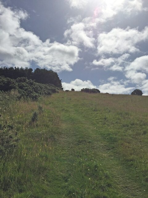 Path to Dunsinane Hill © thejackrustles :: Geograph Britain and Ireland