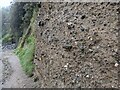 Conglomerate cliff by the Coast Path at Trenow Cove