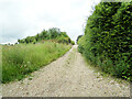 TL8637 : Bridleway to The Sow & entrance to The Old Rectory by Geographer
