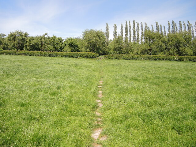 A paved path in a field