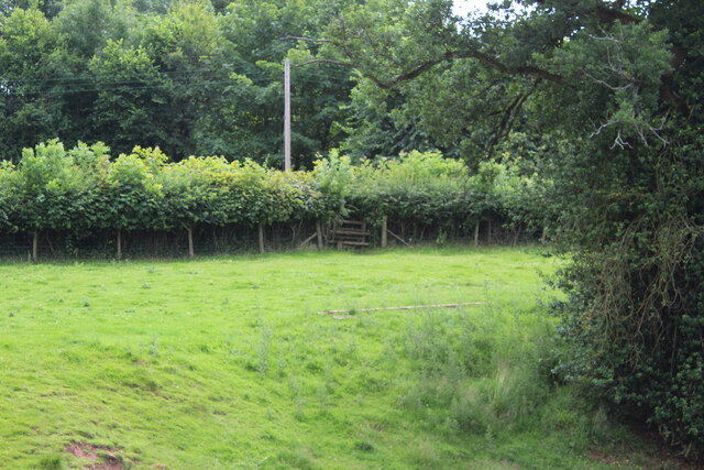 Overgrown stile to road