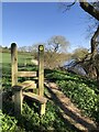 Stile on the Teesdale Way