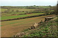 Farmland by the A385