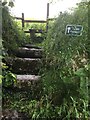 Unusual steps on the footpath you take to Crowan Beacon