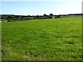 Farmland near Blaenbedw Fach