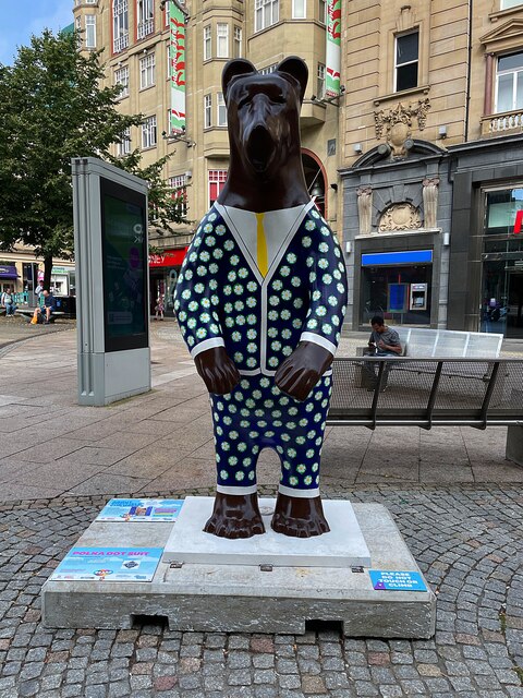 Bears of Sheffield: #19 Polka Dot Suit