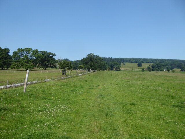 Field edge footpath north of Chirk Castle car park