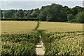 Field path from Ford Place