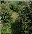 Overgrown rail track