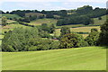 View towards Gwernddu & Gwern Ddu Wood