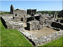 SN1645 : St Dogmaels Abbey by Philip Halling