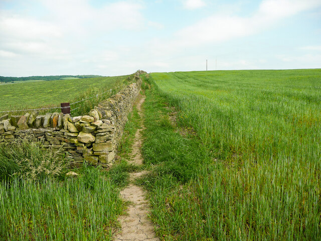 Footpath along the edge of a field