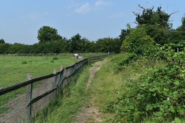 Footpath between fields, Mottingham