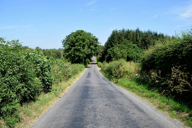 Loughmuck Road, Fireagh / Loughmuck