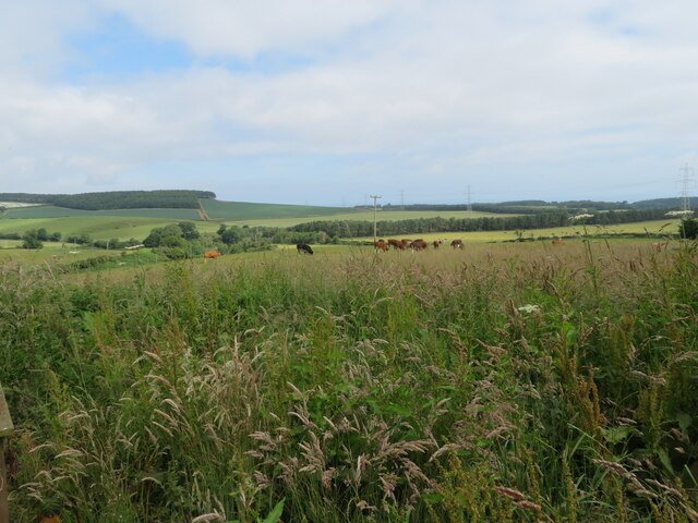 Farmland at Fernylea