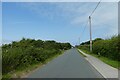 Telegraph poles along Easington Road