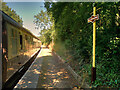 ST6771 : Platform at Oldland Common Station by David Dixon