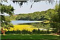 Mill Loch, Lochmaben