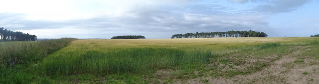 Fields near Coxton