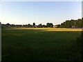 Playing field by Cardigan Road, Bedworth