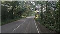 Old Lane towards Effingham Junction Station