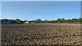 Ploughed field next to Chilbrook Farm