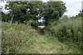 Bridleway near Willow farm