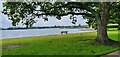 Boating lake at Poole Park