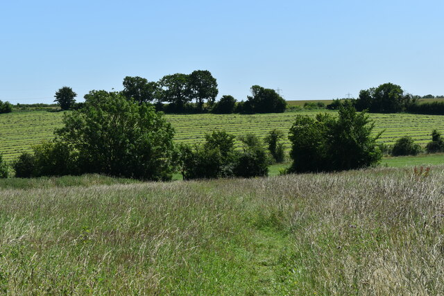 Newly-mown field of hay, Creeting St. Mary