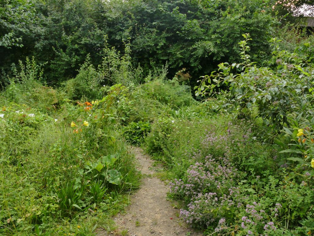 Bedford Fields Community Forest © Stephen Craven cc-by-sa/2.0 ...