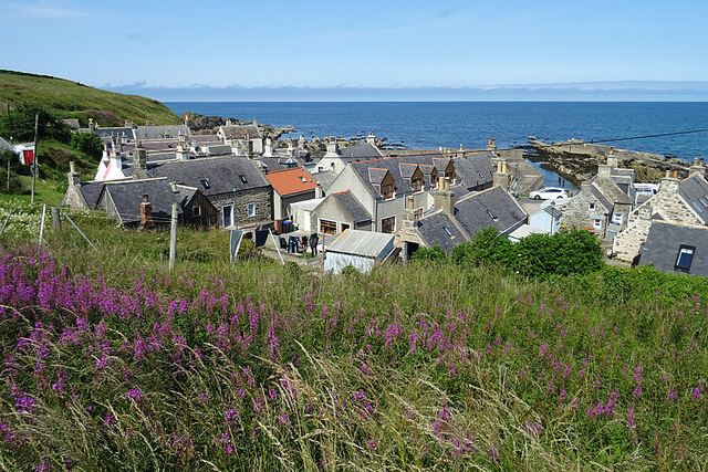 Houses and Harbour