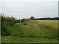 Farm track towards Bonerbo Wood