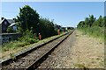 Vegetation clearance along the railway