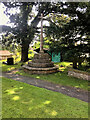 Cross in the Churchyard of SS Peter and Paul, Weston in Gordano