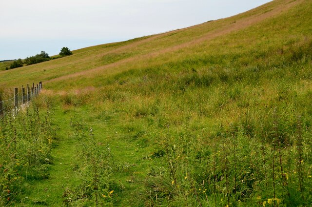 Hill track