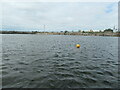 SJ3392 : Yellow buoy, Collingwood Dock by Christine Johnstone