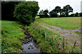 Small stream, Mountjoy Forest East Division