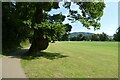 Path in Fitz Park