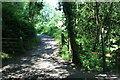 Track behind The Cwms, Colby Woodland Garden