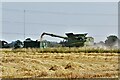 Mendlesham: Harvesting the cereal crop