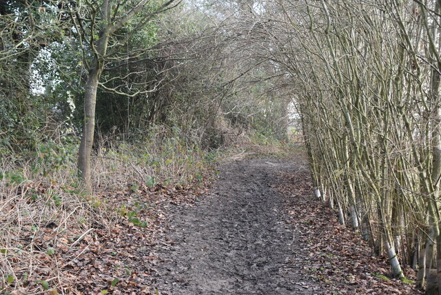 High Weald Landscape Trail