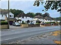 Houses along Prospect Avenue