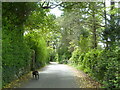 Minor road near Criccieth