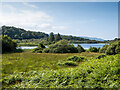 NR7485 : Lochan Taynish by Patrick Mackie
