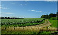 Farm track, Meikle Fiddes