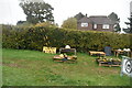 Pumpkin patch, Sheepgate Farm