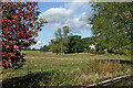 Pasture south of Tixall in Staffordshire