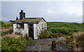 J6086 : Derelict building, Mew Island  by Rossographer